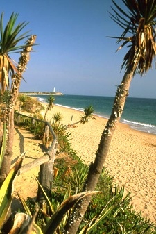 Strand bij Caños de Meca