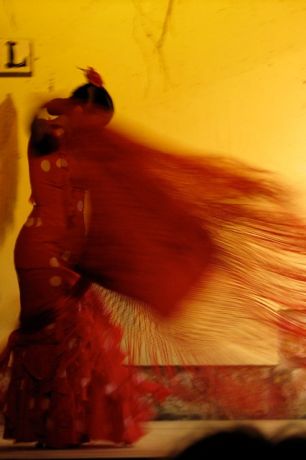 Flamenco Flamenco