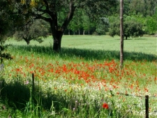 Sierra Norte