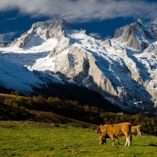 Picos de Europa