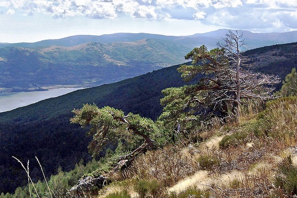 Sierra de Guaderrama Sierra de Guaderrama