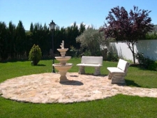 Tuin