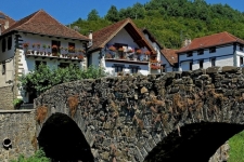 Ochagavia