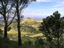 bardenasreales2