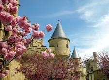 Olite